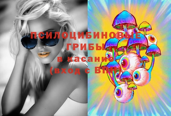 амф Арсеньев