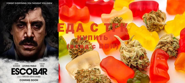 крисы Аркадак