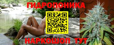 стафф Вязьма