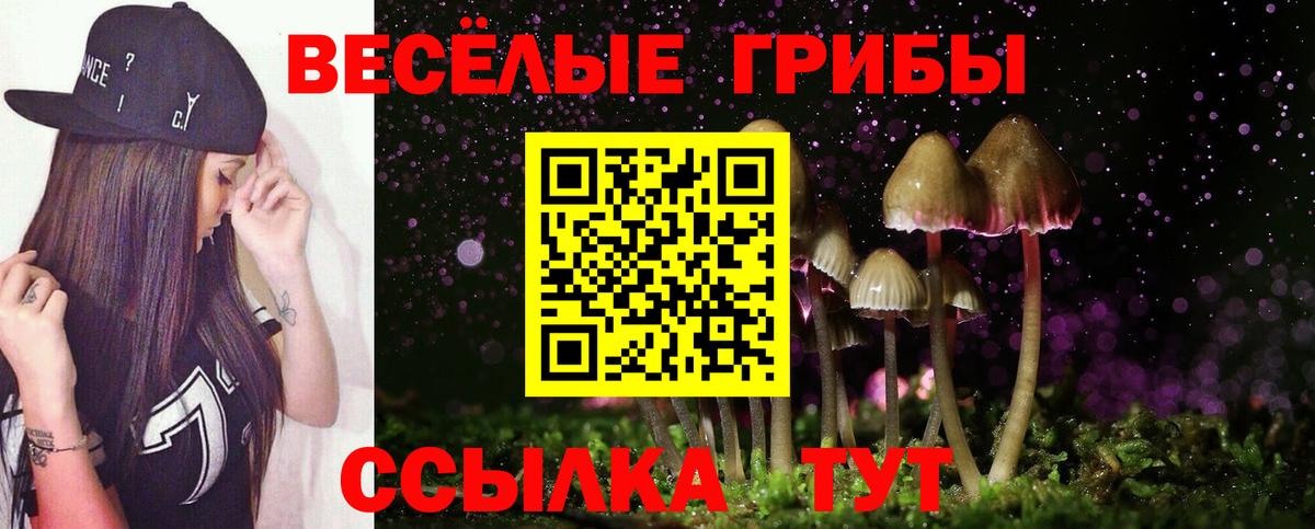 Белорецк  Псилоцибиновые грибы ЛСД  Вход с VPN 